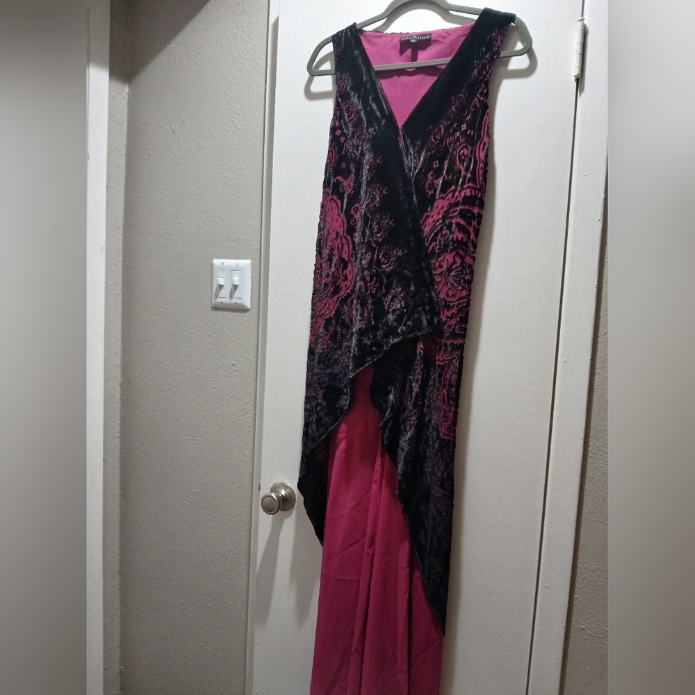 COPY - Lyndia Procanik Pink & Black Velvet Floral Print & Chiffon Bottom Dress,…